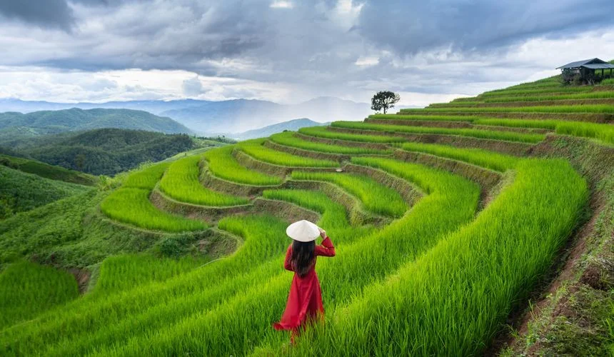 Вьетнам ввел электронные карты прибытия для туристов