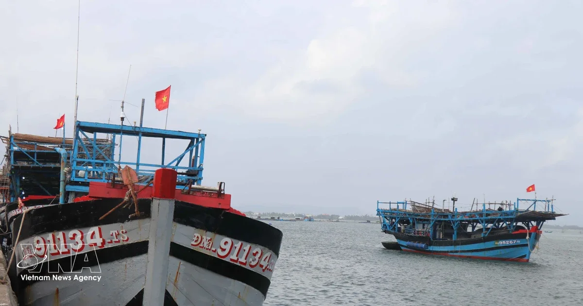 Дананг выполняет рекомендации ЕС в борьбе с ННН-промыслом