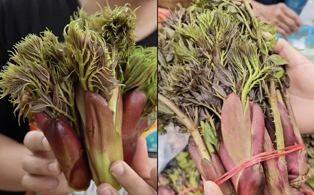 Что такое колючие ростки (rau mầm gai), которые вызвали ажиотаж в сети, что многие жители Хошимина не могут их найти в продаже?