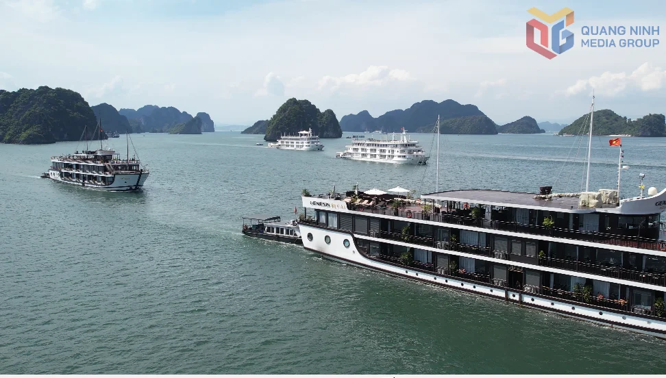 Соединение туристических зон заливов Халонг и Ланха: дверь открывается всё шире