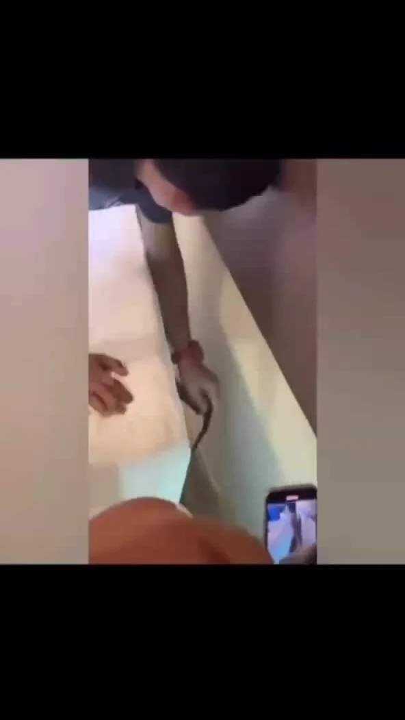 Турист просыпается и обнаруживает, что по его шее в отеле в Таиланде ползет кобра