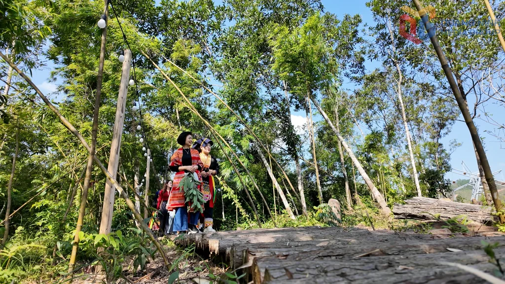 Связать туристическую деятельность с лесом в Кỳ Thượng
